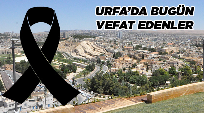 Urfa'da 12 kişi hayatını kaybetti