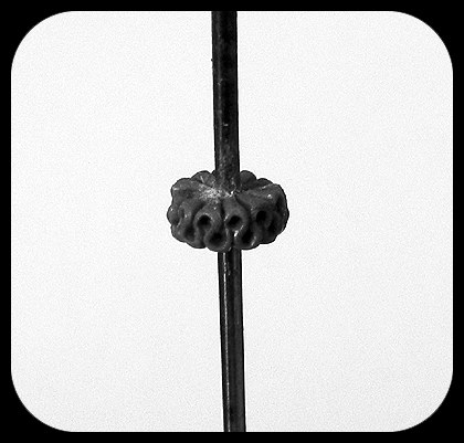 Gardens of Hecate: LI. Tutorial: How to Sculpt a Ruff