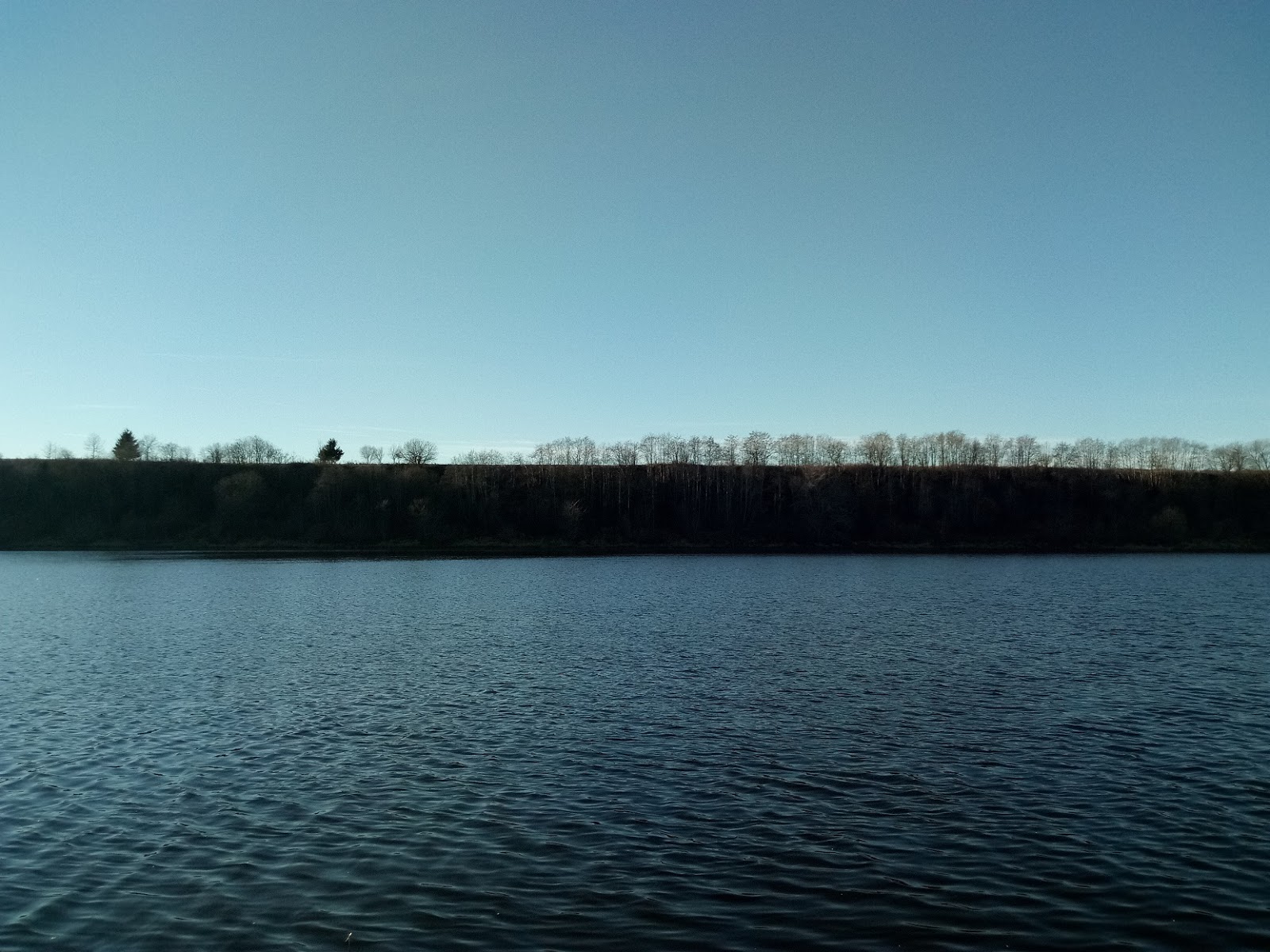 Направление течения волхова. Очищение рек во пскове. Режим реки волхов. Рыбалка на волхове. Озеро в хутыни название.