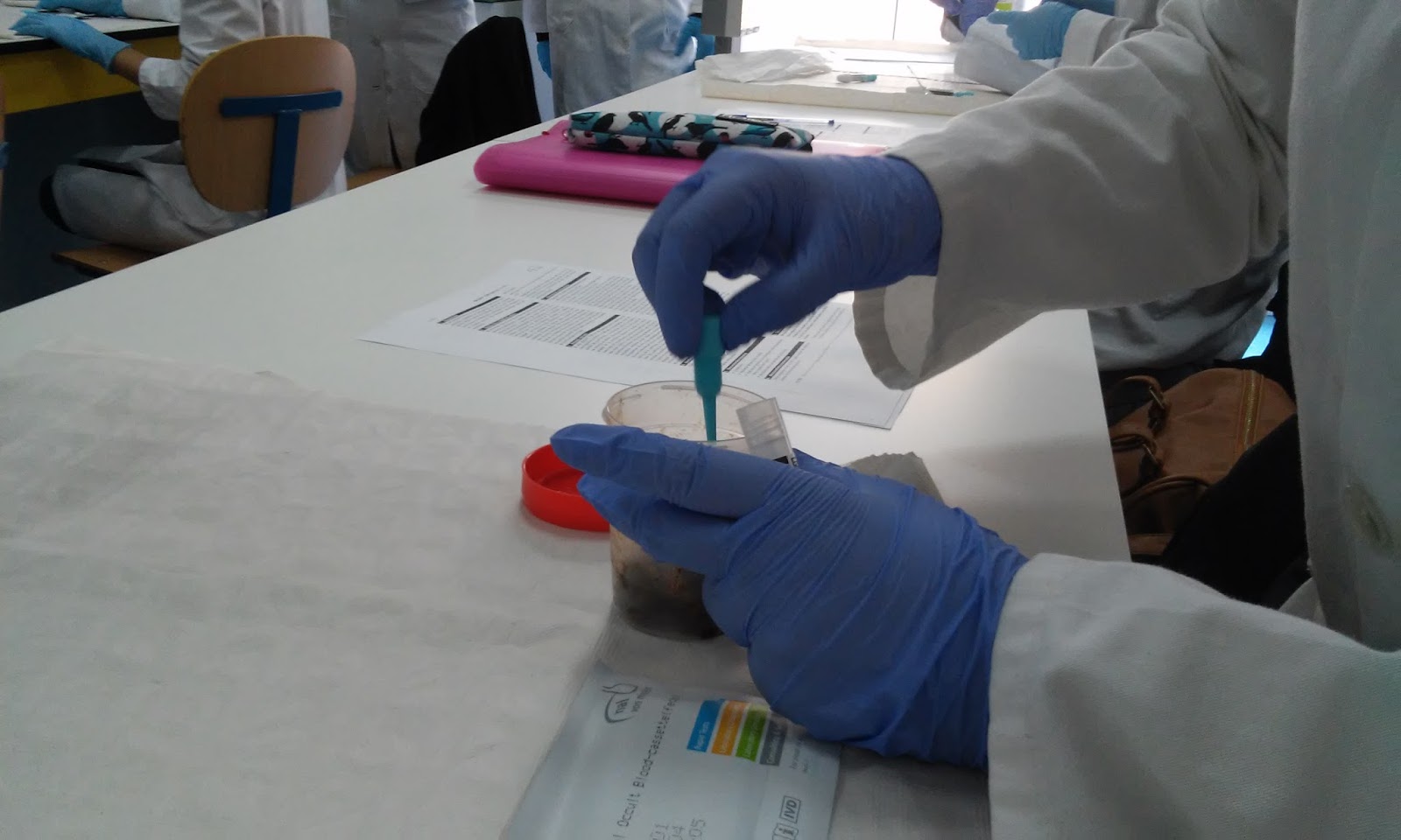LABORATORIO DE DIAGNÓSTICO CLÍNICO TEST PARA SANGRE OCULTA EN HECES
