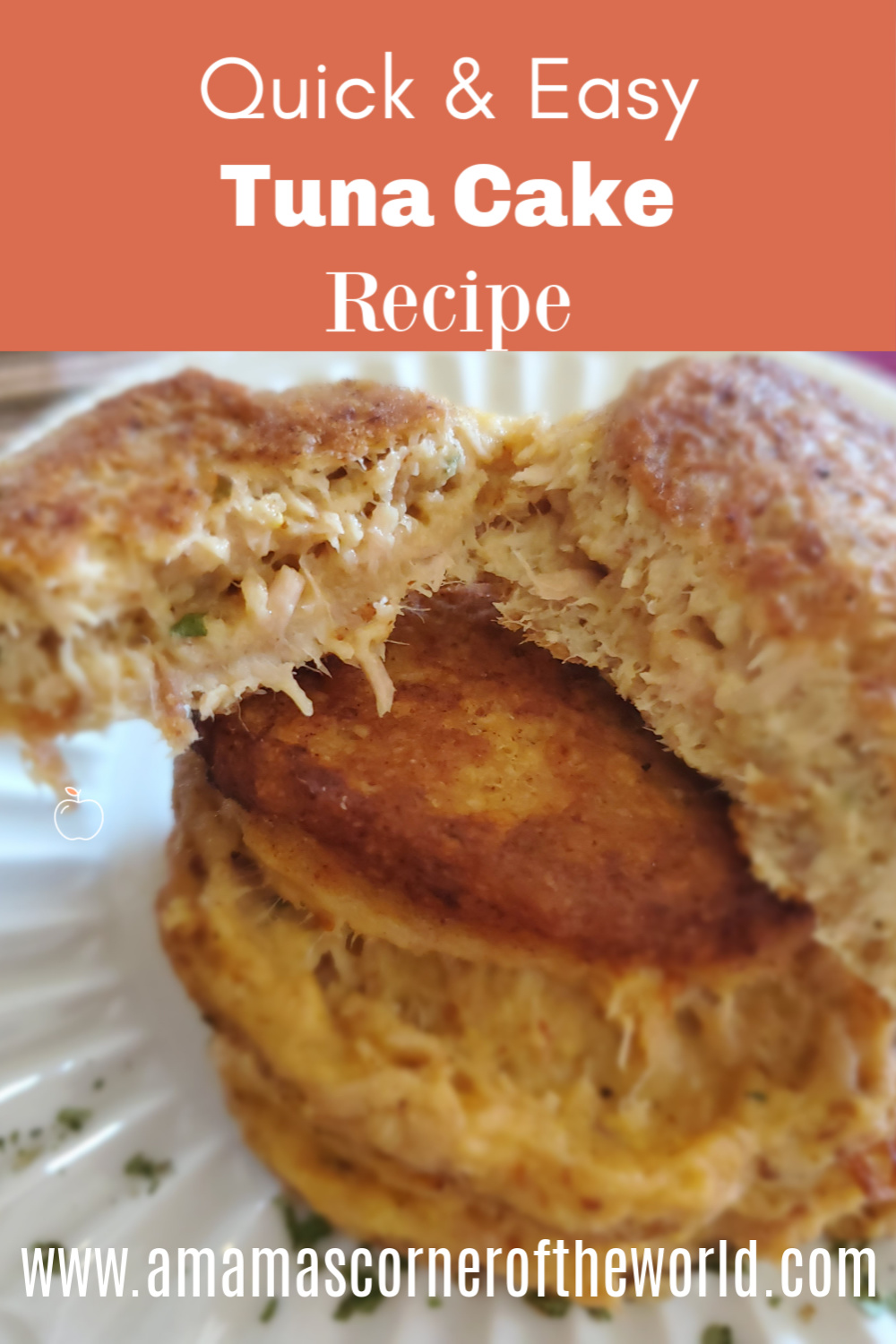 Quick & Easy Tuna Cake Recipe