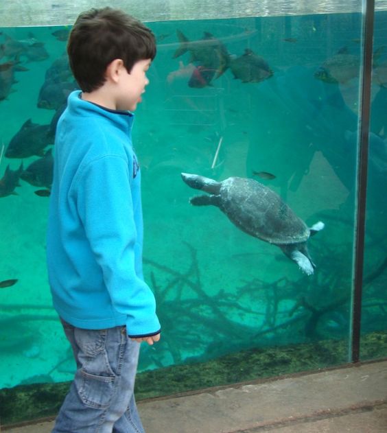 Fort Worth Forth Worth - The Journey Back blog