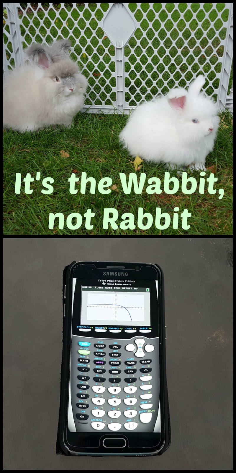Get The Point Wabbit Math Worksheet Answers - ordered pairs and