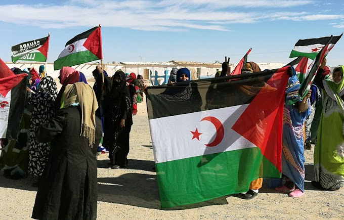 El Frente Polisario respaldado por sus aliados en la reunión del Comité Especial de descolonización de la ONU