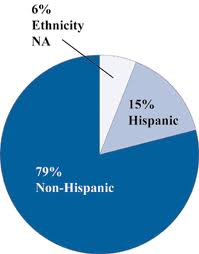 Gráfico con información étnica