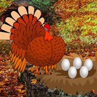 WowEscape Catch a Turkey and Eggs