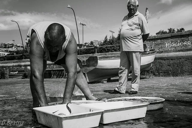 fotografia-en-blanco-y-negro