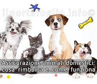 assicurazione cane gatto animali domestici