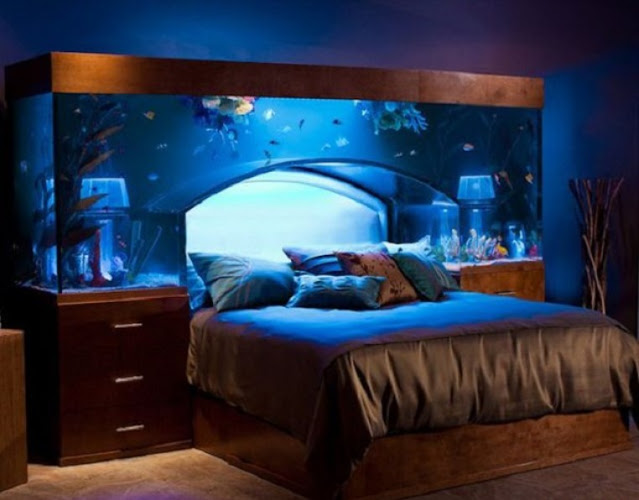 best aquarium design for home