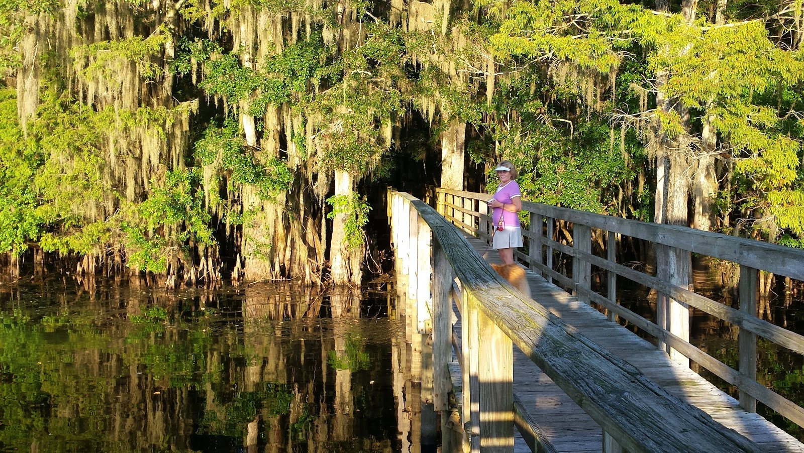 Sleeps Two: Manatee Springs State Park