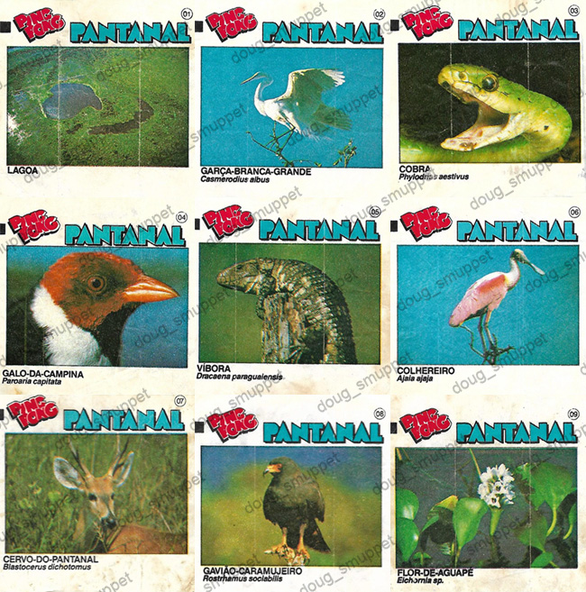 Figurinhas Ping Pong Pantanal - lote com 25 - colecionador