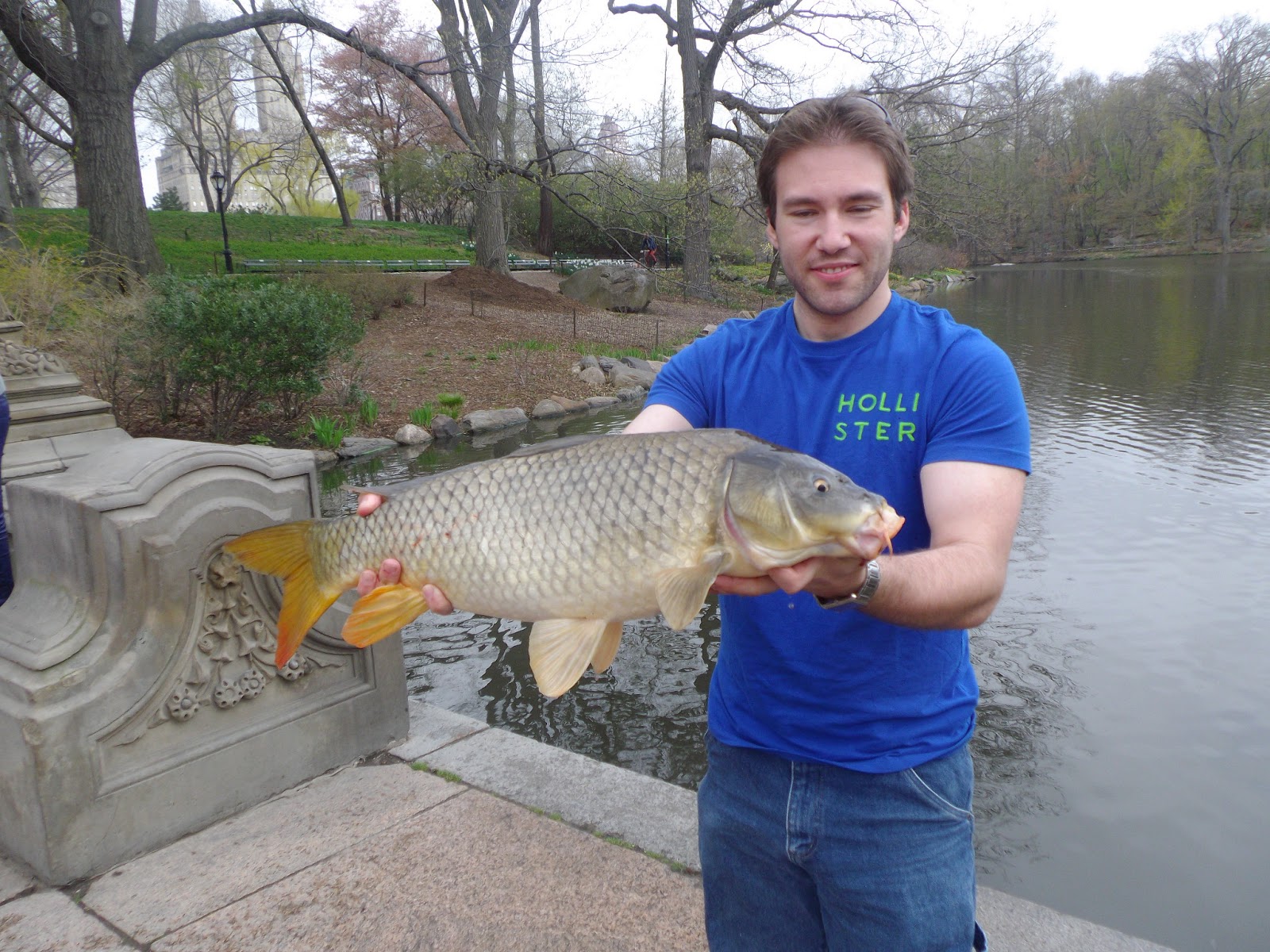 The Great Lakes of NYC Fly Fishing for carp in Central Park