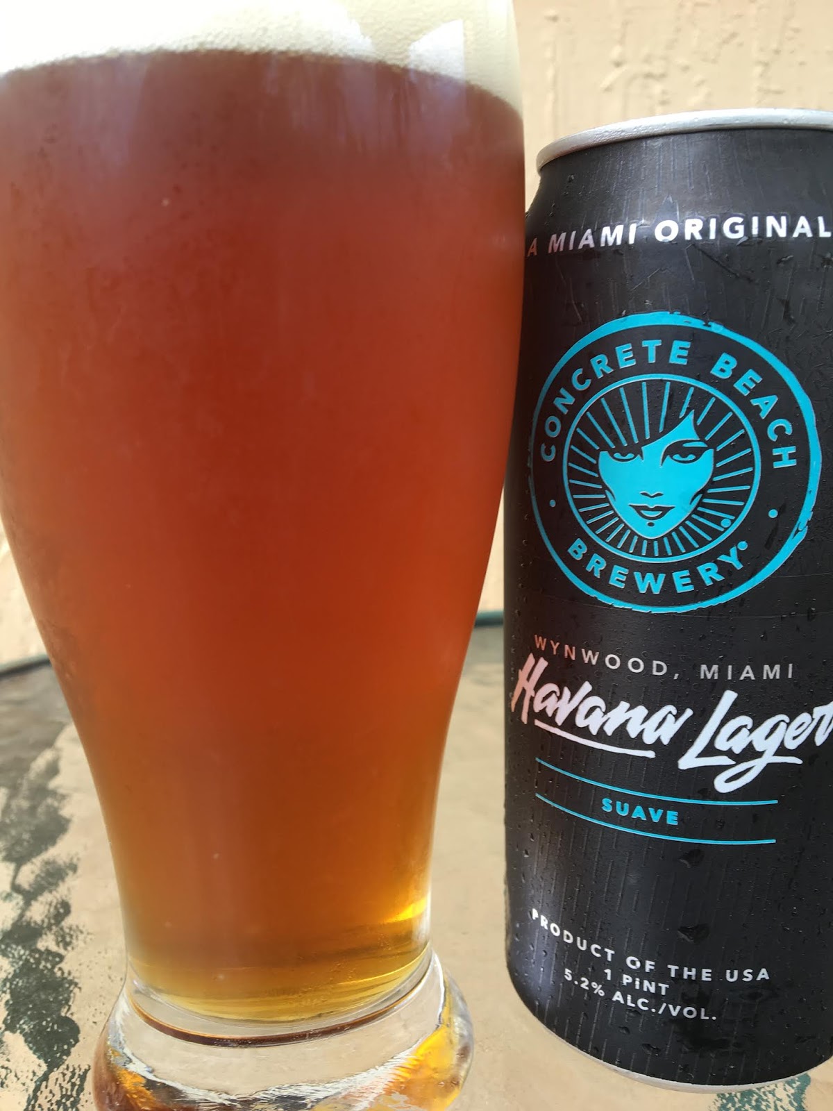 Lager vs pilsner beer limfadashboard