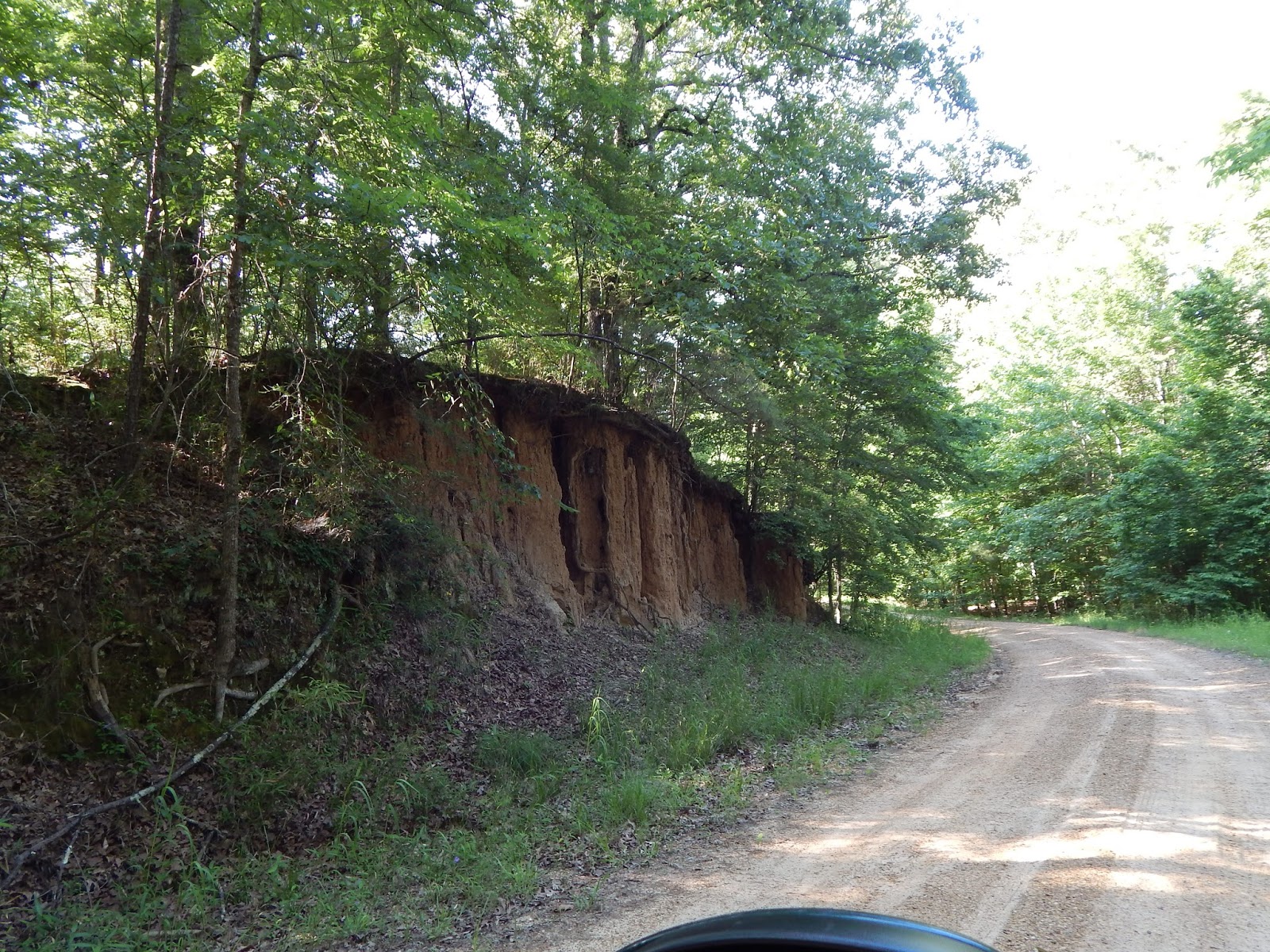 Central Louisiana Birding & Wildlife Sicily Island Hills, Catahoula