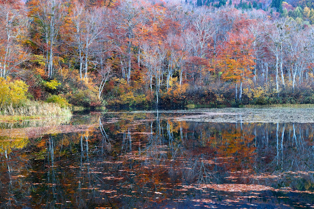 #photo #landscape #sigma #foveon #sdquattroh #japan #yamagata #nishikawa #山形県 #西川町 #山形帝國 #写真 #風景写真