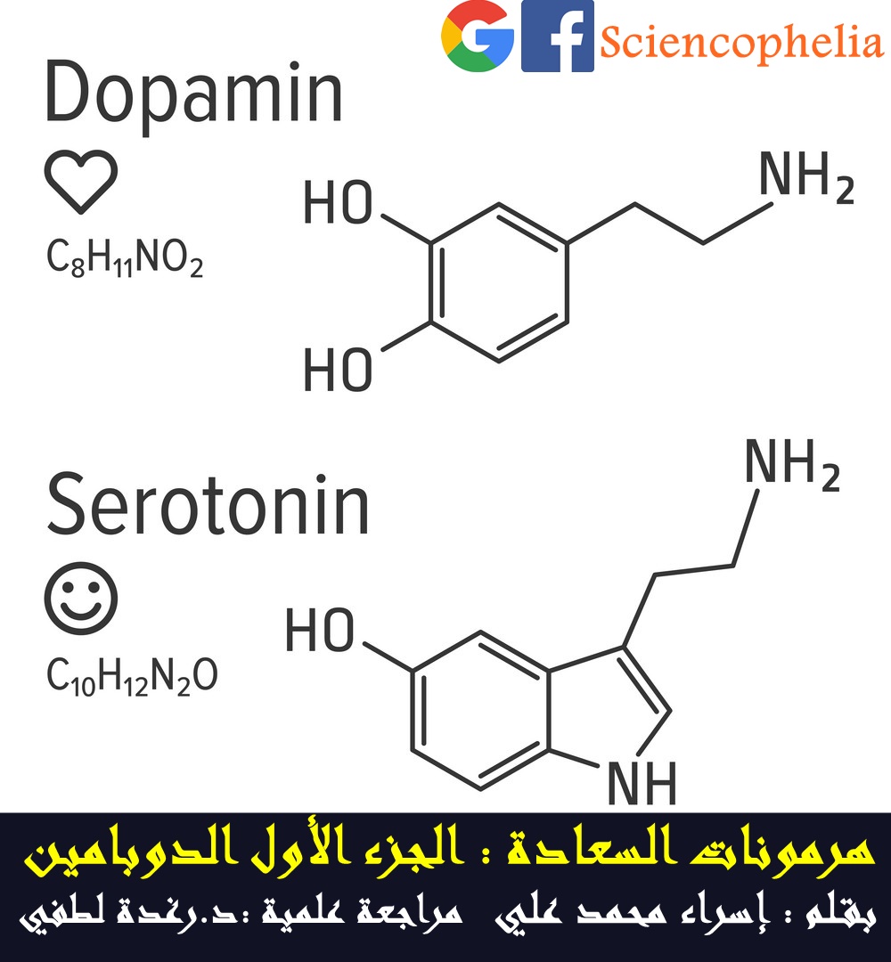 ما تأثير الدوبامين في الجهاز العصبي