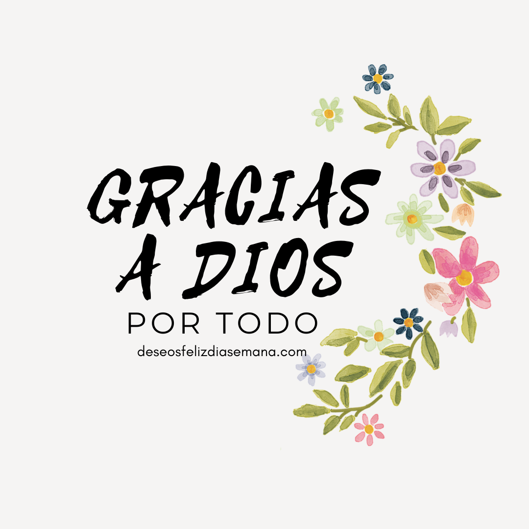 Hoy doy gracias a Dios. Mensajes de Gratitud. Frases Cristianas para el  Buen Día | Imágenes y Deseos Feliz Día de Semana