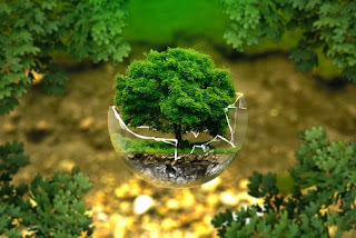 WHAT IS BIO-PIRACY / BIO-PATENT MEANING & DEFINITION IN HINDI WHAT IS BIO-PIRACY / BIO-PATENT MEANING & DEFINITION IN HINDI