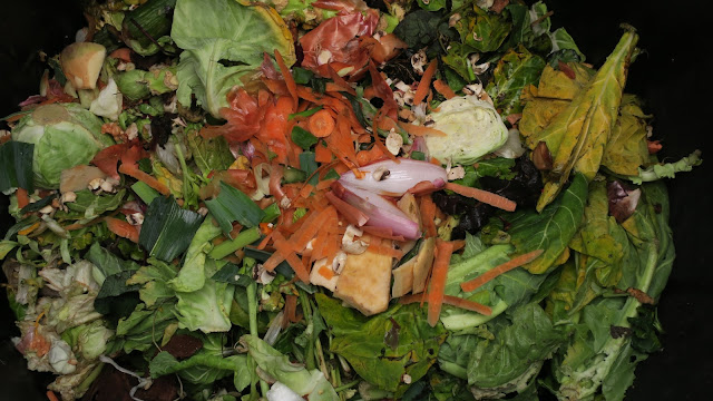 Raw vegetables added to compost bin. Raw vegetables added to compost bin.