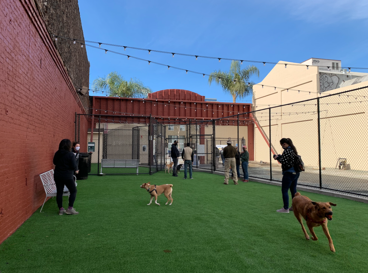 The San Jose Blog SoFA Dog Park now open