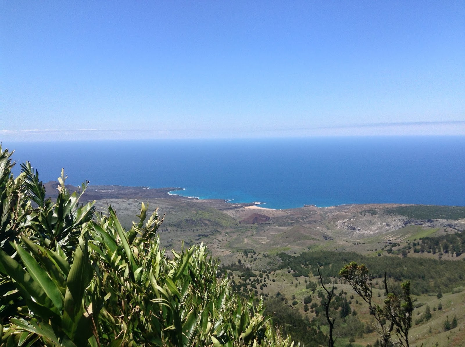 Ascension Island Green Mountain