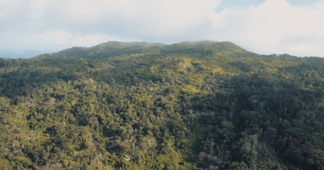 Agar hutan tidak gundul maka jika menebang hutan dengan sistem