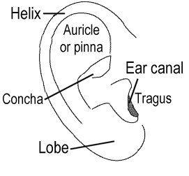 Ray's hearing journey