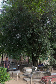 makam marga ewuh panjer kebumen