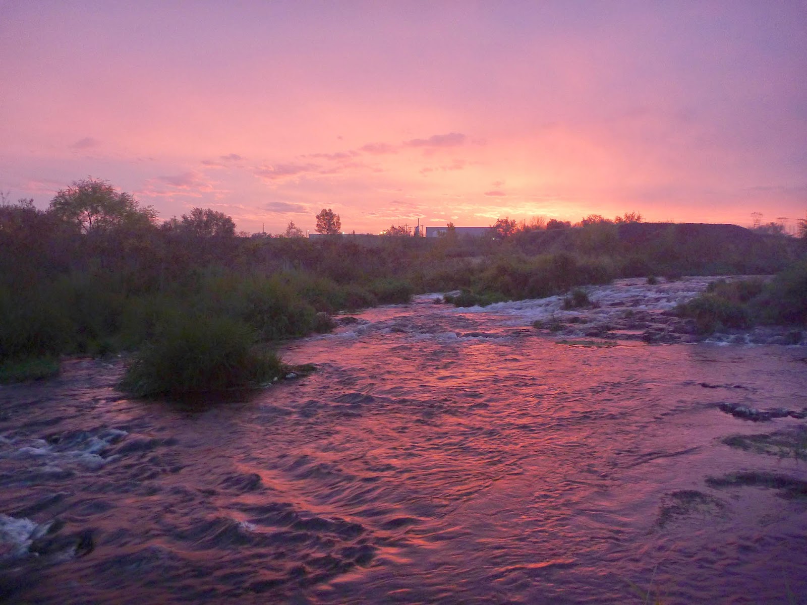 Walla² Fly Fishers Steelhead and salmon fishing the lower Umatilla River