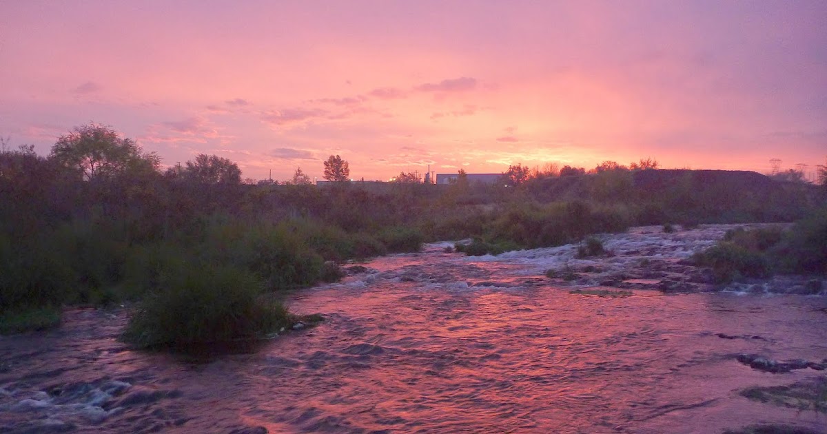 Walla² Fly Fishers Steelhead and salmon fishing the lower Umatilla River