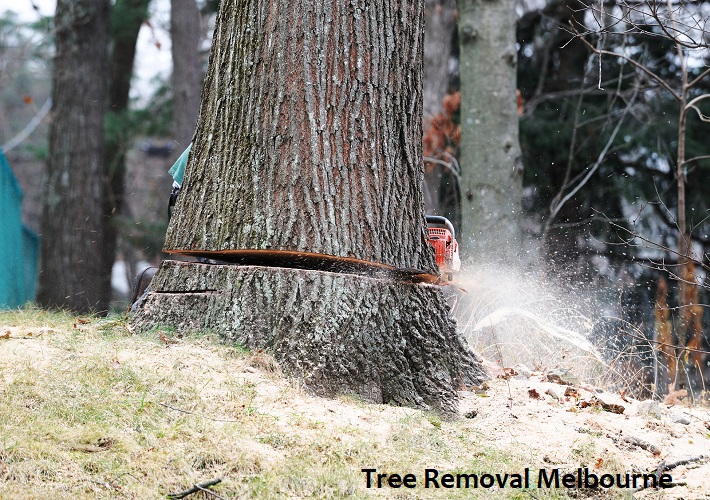 Tree Removal Melbourne