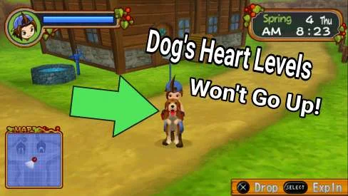 Fastest Ways to Raise Dog's Friendship Level - Harvest Moon: Hero of leaf Valley