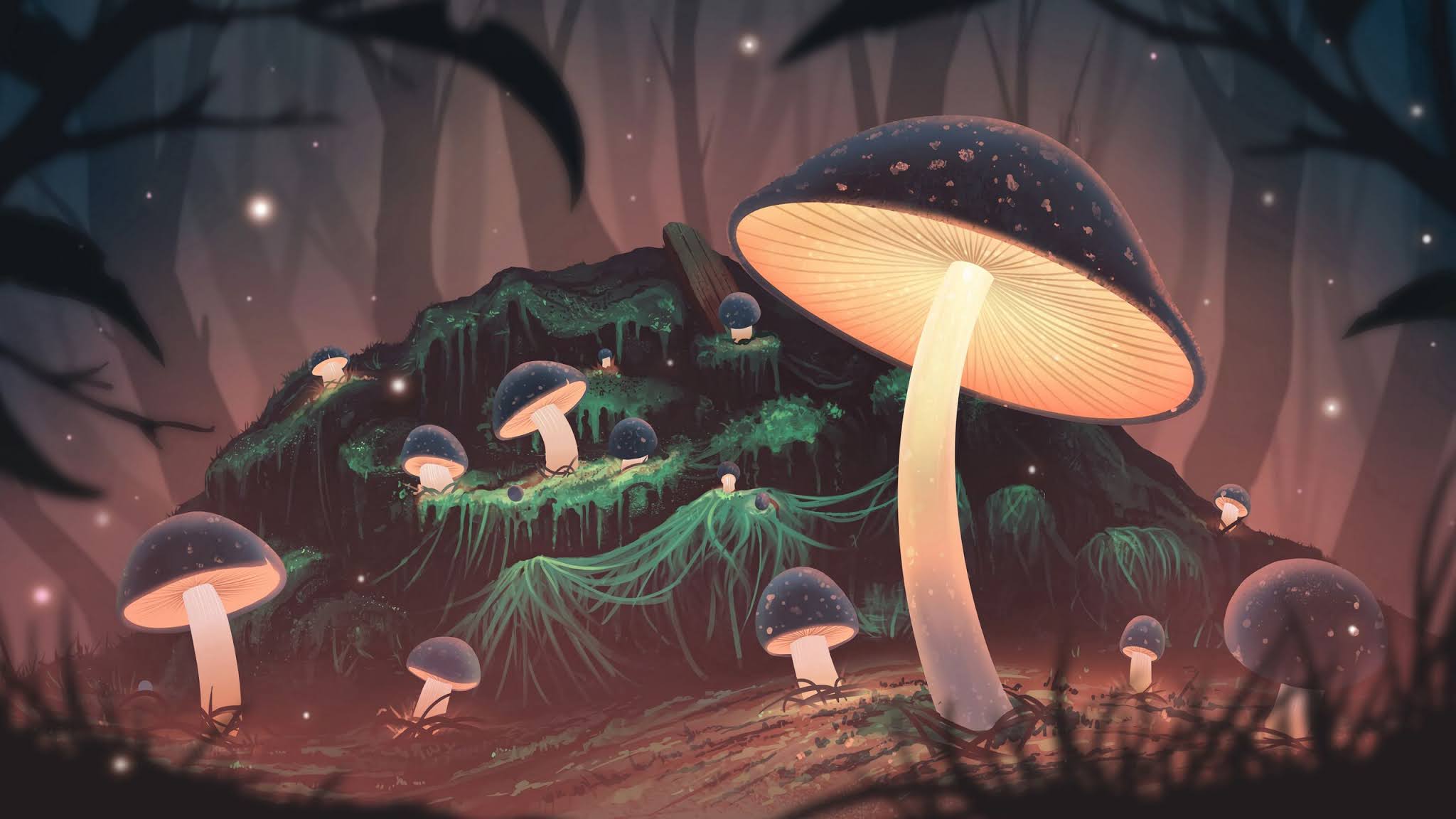 HD Wallpaper Fantasy Mushrooms, Light, Forest, Art