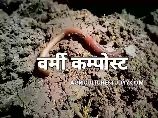 वर्मी कम्पोस्ट क्या है एवं वर्मी कम्पोस्ट बनाने कि विधि (Vermi Compost in hindi)