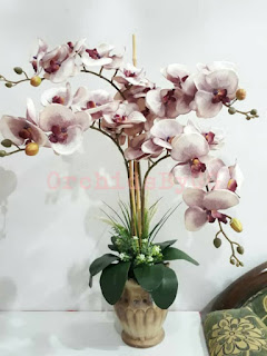 Bunga orkid 4 tangkai