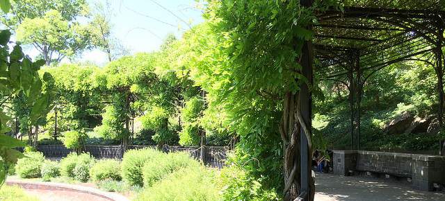 Central Park Pedicab Tours at the Conservatory Gardens