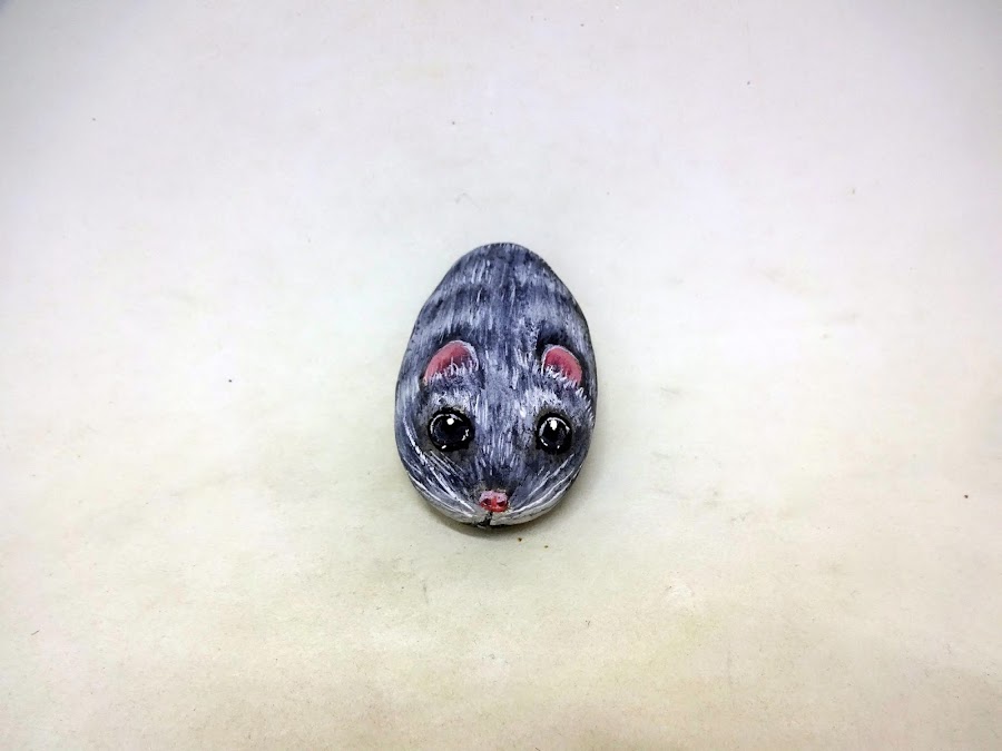 COMO PINTAR PIEDRAS CON RATÓN PASO A PASO