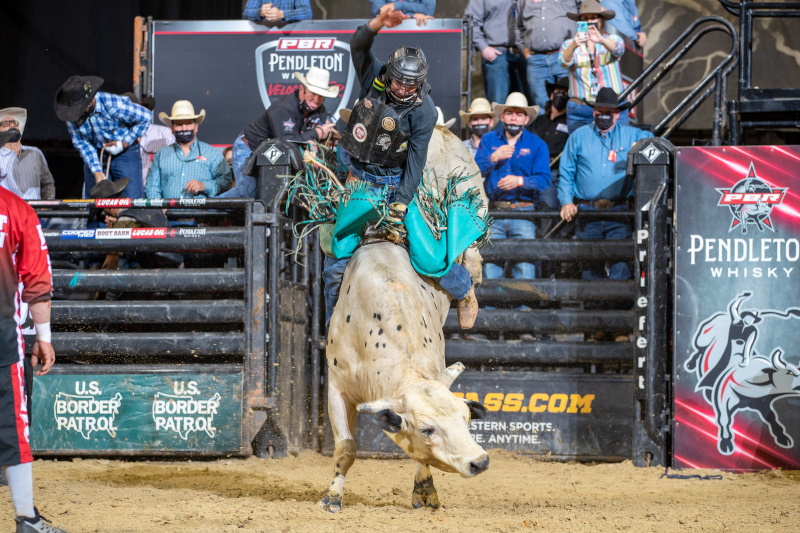 A Beginners Guide To Professional Bull Riding