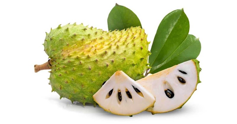 Terpopuler 18+ Khasiat Durian Belanda