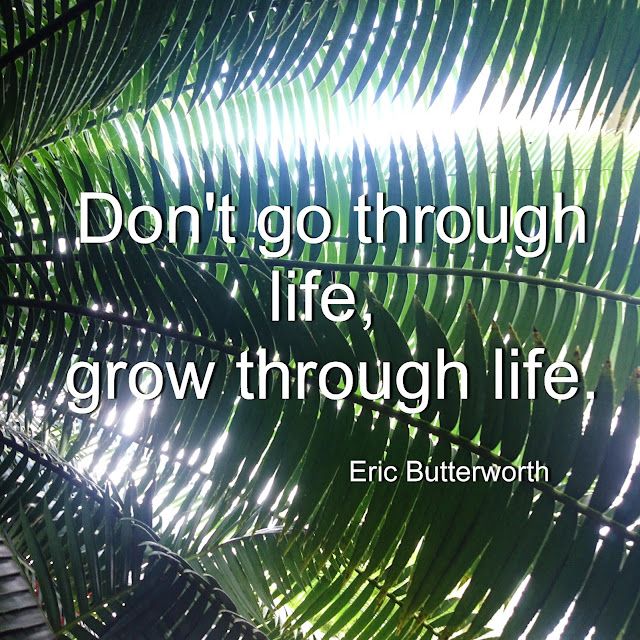 Don´t go through life, grow through life. - Eric Butterworth