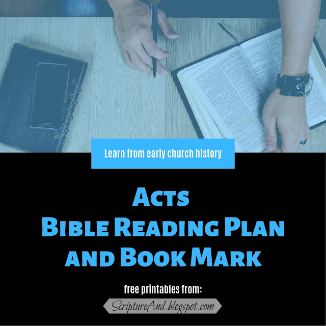 Acts Bible Reading Plan and Book Mark | scriptureand.blogspot.com