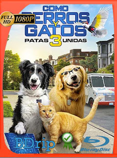 Como perros y gatos 3: ¡Todos a una! (2020) BDRip 1080p Latino [Google Drive] Panchirulo