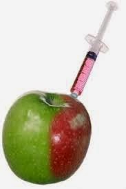 The Difference Between Organic And Inorganic Foods The Difference Between Organic And Inorganic Foods