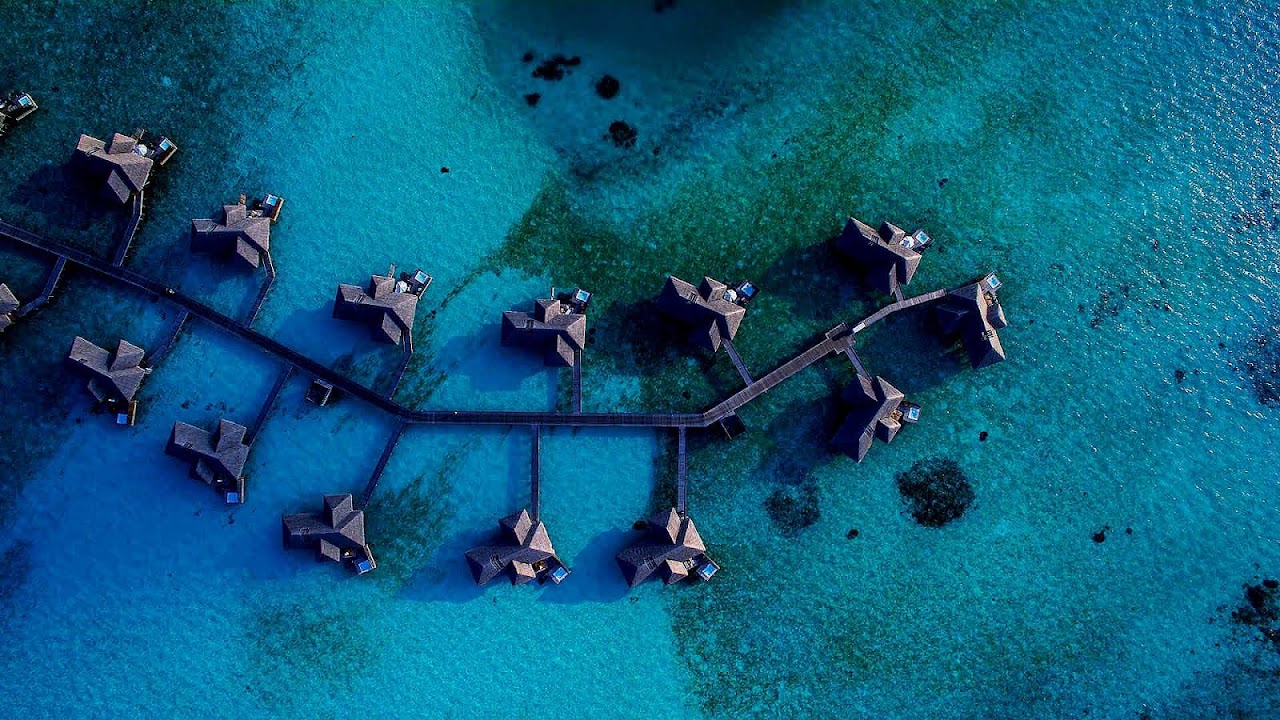 Kayak Hotel New York Kayak Choices