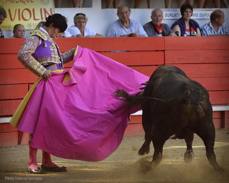 PhOtAuRiNeS Plaisance du Gers Novillada sans picador