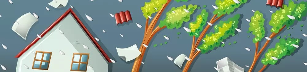 Especialidade de Respostas a Emergência e Desastres Especialidade de Respostas a Emergência e Desastres Respondida