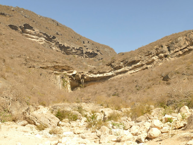 Панасоник и Макита: сверлим дыры в Омане Панасоник и Макита: сверлим дыры в Омане