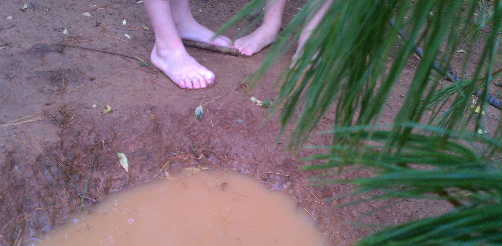 Daily Coping Skills 2011