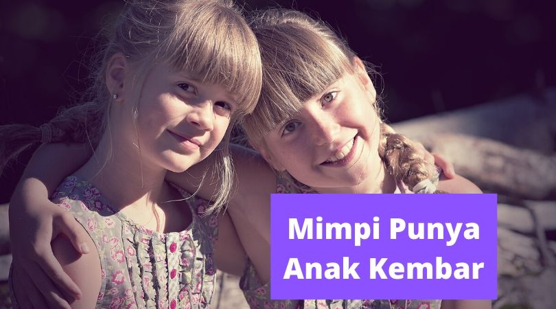 16+ Mimpi Punya Anak Perempuan Kembar Togel