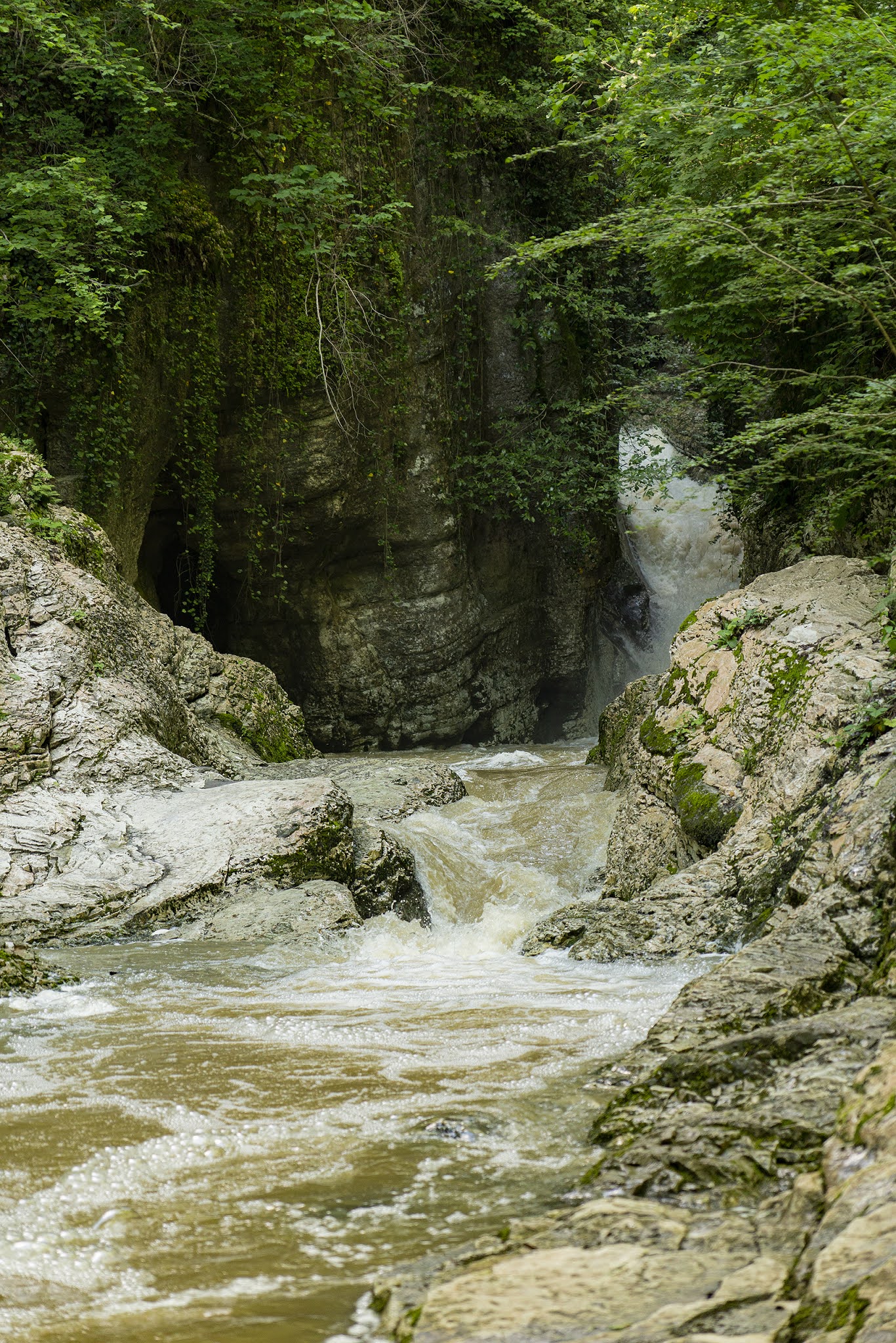 Agursky waterfalls Sochi national park river mountain forest water photo Igor Novik